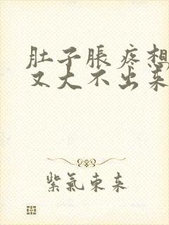 肚子胀疼想大便又大不出来怎么回事