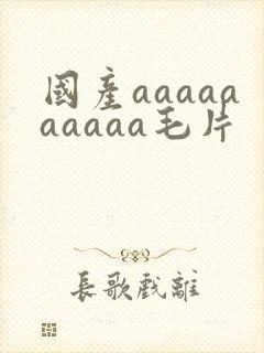 国产aaaaaaaaaa毛片