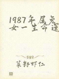 1987年属兔女一生命运如何