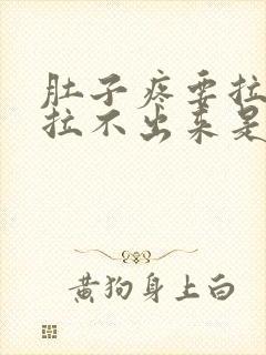 肚子疼要拉屎又拉不出来是怎么回事