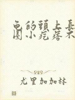 龟的头上长了一圈小疙瘩不疼不痒封面