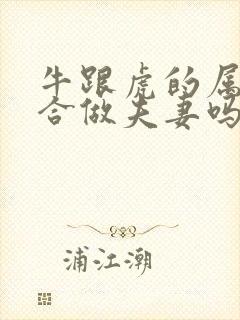 牛跟虎的属相适合做夫妻吗