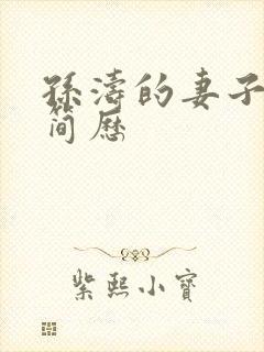 孙涛的妻子李莉简历封面