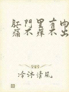 肛门里有肉球不痛不痒不出血