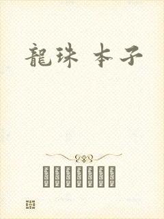 龙珠 本子