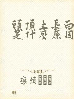 头顶上长白头发是什么原因导致的