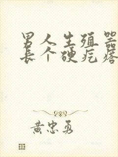 男人生殖器上面长个硬疙瘩