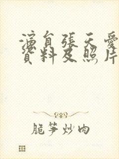 演员张天爱个人资料及照片