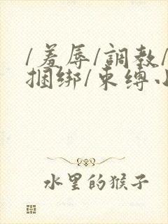 /羞辱/调教/捆绑/束缚小说