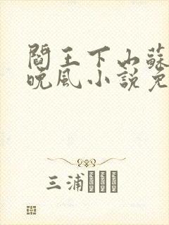 阎王下山苏文陆晚风小说免费阅读封面