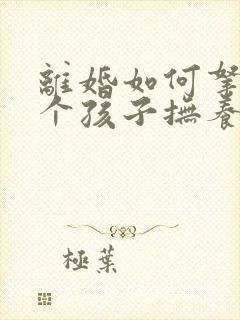 离婚如何拿到两个孩子抚养权封面