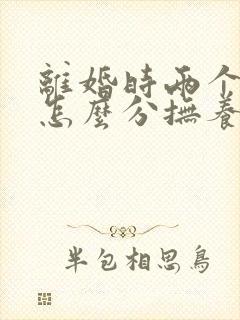 离婚时两个孩子怎么分抚养权