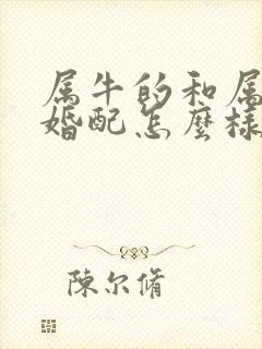 属牛的和属马的婚配怎么样封面