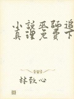 小说巫师追逐着真理免费下载封面