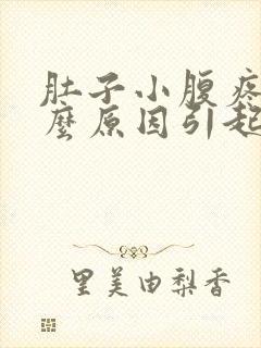 肚子小腹疼是什么原因引起的女