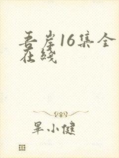 吾岸16集全集在线