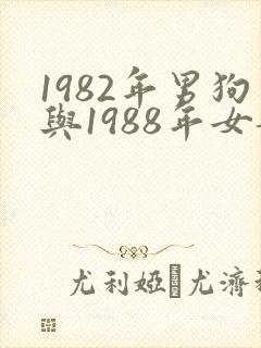 1982年男狗与1988年女龙婚配吗?