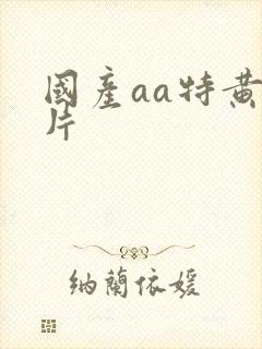 国产aa特黄大片