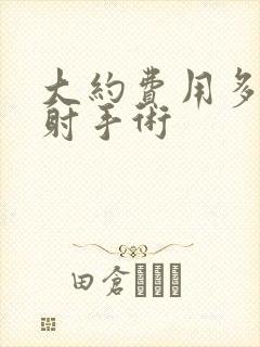 大约费用多少早射手术