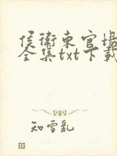 侯卫东官场笔记全集txt下载