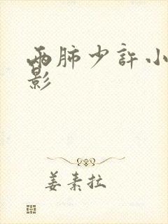 两肺少许小条索影