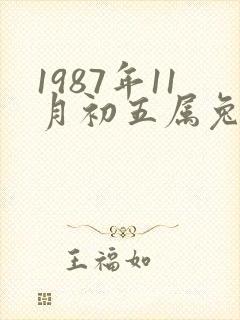 1987年11月初五属兔的命运封面