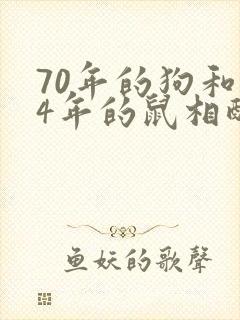 70年的狗和84年的鼠相配吗封面