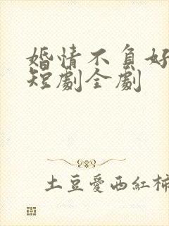 婚情不负好春光短剧全剧