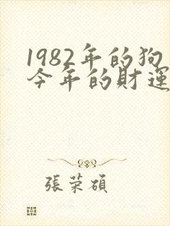 1982年的狗今年的财运