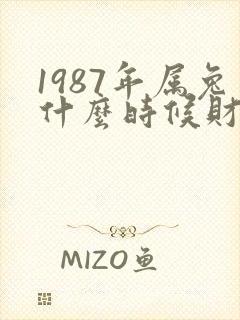 1987年属兔什么时候财运比较好