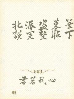 北派盗墓笔记小说完整版下载封面