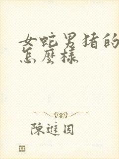 女蛇男猪的姻缘怎么样