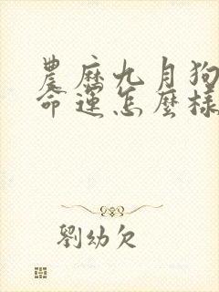 农历九月狗女的命运怎么样