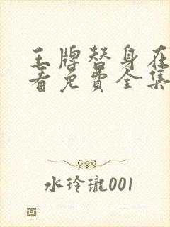 王牌替身在线观看免费全集