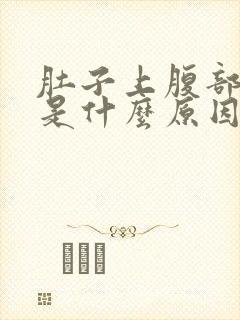 肚子上腹部疼痛是什么原因