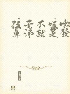 孩子不咳嗽不流鼻涕就是发烧怎么回事