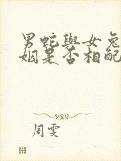 男蛇与女兔的婚姻是否相配财运怎样