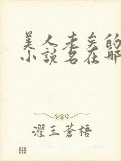 美人老矣的原著小说名在哪里可以封面