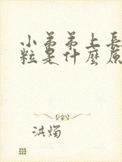 小弟弟上长小肉粒是什么原因封面