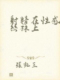 射精在性感美女丝袜上