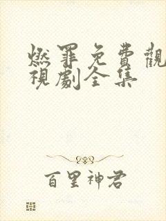 燃罪免费观看电视剧全集封面