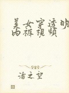 美女穿透明内衣内裤视频