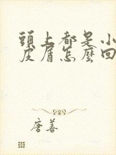 头上都是小碎头皮屑怎么回事