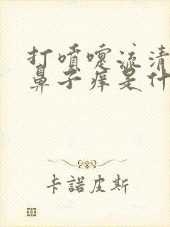 打喷嚏流清鼻涕鼻子痒是什么原因