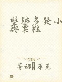 双肺多发小结节与粟粒封面