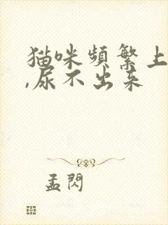 猫咪频繁上厕所,尿不出来