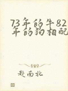 73年的牛82年的狗相配吗