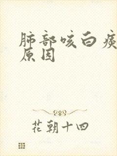 肺部咳白痰什么原因封面