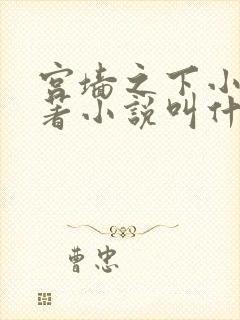 宫墙之下小说原著小说叫什么名字