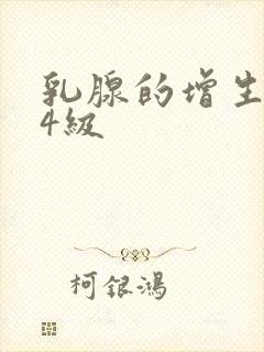 乳腺的增生结节4级封面